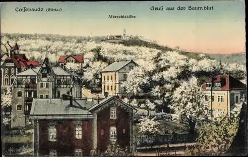 Ak Dresden Cossebaude, Teilansicht mit Albrechtshöhe