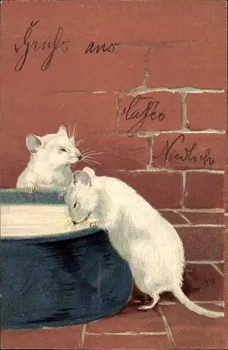 Präge Litho Zwei weiße Mäuse an einer Trinkschale