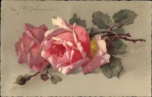 Künstler Litho Klein, Catharina, Rosa Rosenblüten, Meissner und Buch 2466