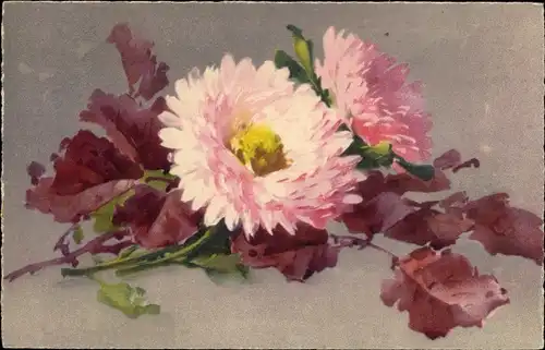 Künstler Ak Klein, Catharina, Blumen, gefärbtes Laub, Meissner Buch 2465