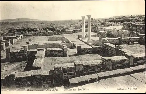 Ak Timgad Algerien, Ruines Romaines de Timgad, Maison aux Jardinieres