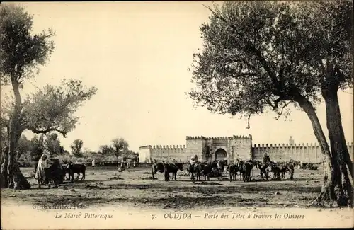 Ak Oudjda Oujda Marokko, Porte des Tetes a travers les Oliviers