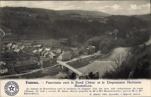 Ak Esneux Wallonien Lüttich, Panorama vers le Rond Chene et le Dispensaire Hortense Montefiore