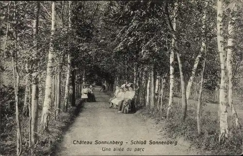 Ak Carspach Karspach Elsass Haut Rhin, Naturheilanstalt Schloß Sonnenberg, Chateau Sonnenberg, parc