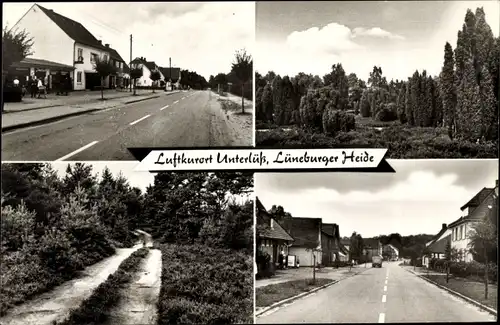 Ak Unterlüß Unterlüss Südheide, Lüneburger Heide, Straßenansichten, Wald