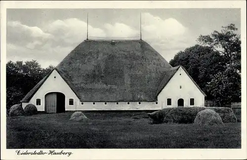 Ak Halbinsel Eiderstedt in Nordfriesland, Eiderstedter Hauberg, Außenansicht