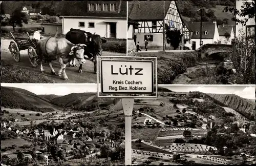 Ak Lütz im Hunsrück, Ochsenkutsche, Seitental der Mosel, Panorama