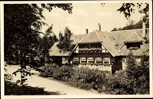 Ak Bad Harzburg am Harz, Die Waldsiedlung Wolfsklippen, Frontansicht