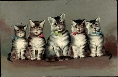 Präge Ak Fünf graue getigerte Katzen mit Halsschleifen