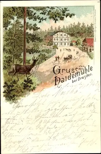 Litho Dresden Langebrück, Gasthaus Zur Haidemühle mit Umgebung