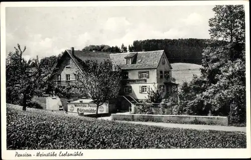 Ak Fürth im Odenwald, Pension, Weinstube Eselsmühle