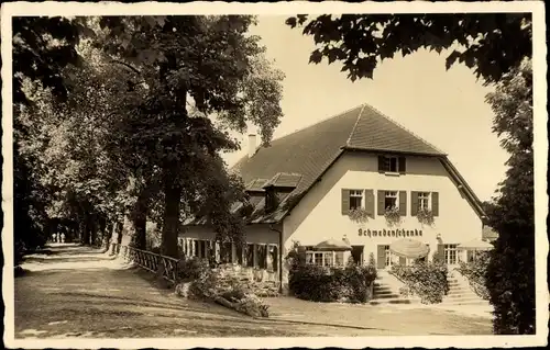 Ak Insel Mainau im Bodensee, Wegpartie an der Schwedenschenke