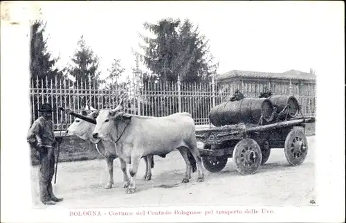Ak Bologna Emilia Romagna, Costume del Contado Bolognese pel trasporto delle Uve