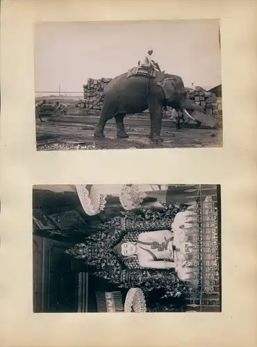 Foto Rangun Rangoon Myanmar, Arbeitselefant, Buddha an der Shave Dagon Pagoda