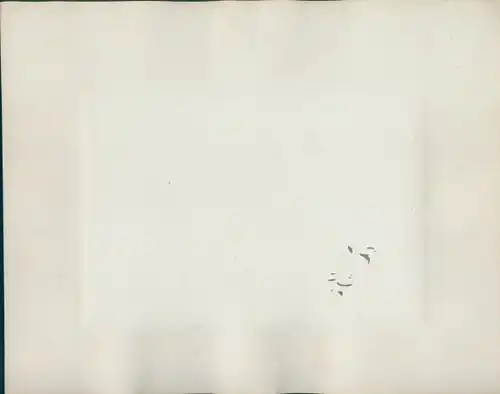 Foto Potsdam in Brandenburg, Communs, Neues Palais, Sanssouci