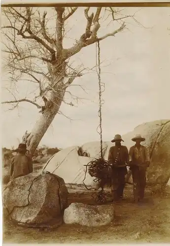 Foto DSW Afrika Namibia, ca 1900 - 1904, Drei junge Afrikaner während der Arbeit