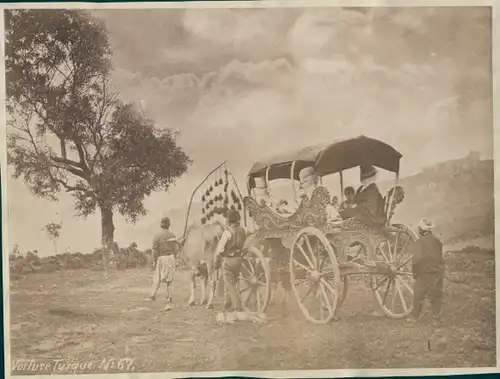 Foto Osmanisches Reich, um 1880, Kutsche, Viehwagen, Fotograf G. Berggren
