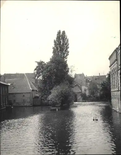 Foto Erfurt in Thüringen, Gerapartie