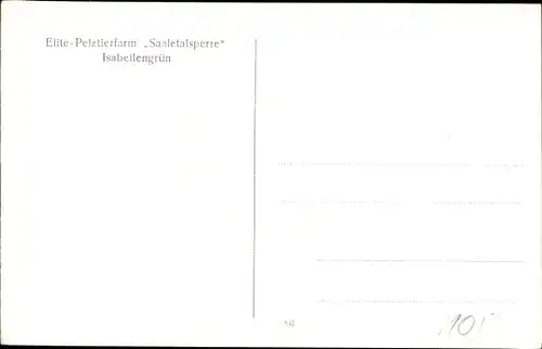 Ak Isabellengrün Burgk in Thüringen, Elite Pelztierfarm Saaletalsperre