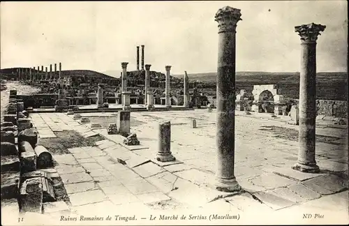 Ak Timgad Algerien, Römische Ruinen, Säulen