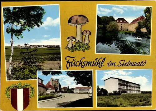 Ak Fuchsmühl im Steinwald Oberpfalz, Wappen, Pilze, Gebäude, See, Ortsansicht, Straßenpartie