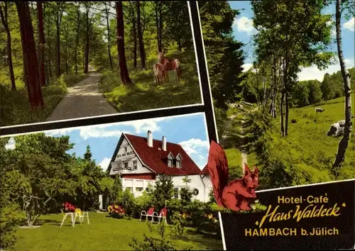 Ak Hambach Niederzier Nordrhein Westfalen, Haus Waldeck, Außenansicht, Waldweg, Eichhörnchen