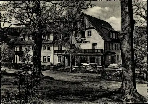 Ak Holzhausen Externsteine Horn Bad Meinberg am Teutoburger Wald, Hotel Bärenstein