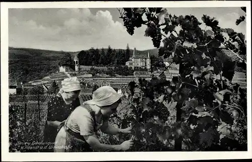 Ak Frauen bei der Weinernte, Weingut im Hintergrund, Haardt Neustadt an der Weinstraße