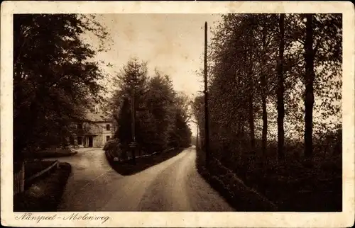 Ak Nunspeet Gelderland, Molenweg