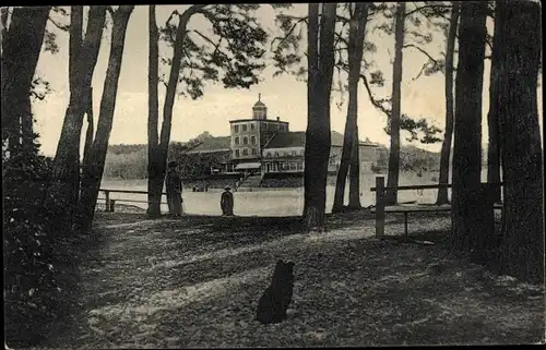 Ak Mrzeżyno Deep Pommern, Ostseebad, Blick zum Hotel, Spaziergänger mit Hund