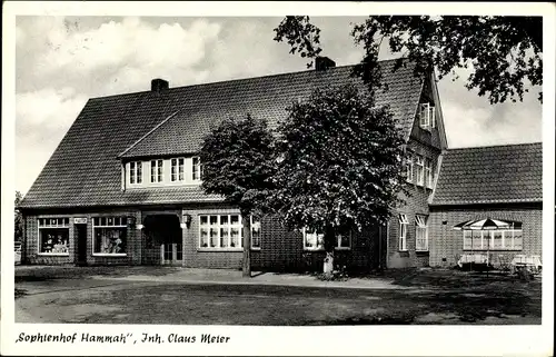 Ak Hammah Niedersachsen, Sophienhof Hammah