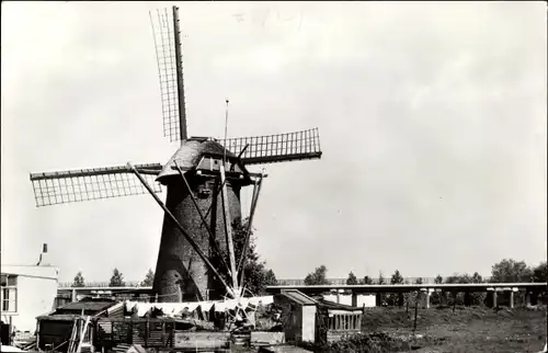 Ak Maassluis Südholland, Molen, Windmühle