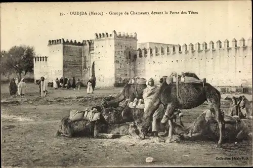 Ak Oudjda Oujda Marokko, Groupe de Chameaux devant la Porte des Tetes, Mann mit Kamelen