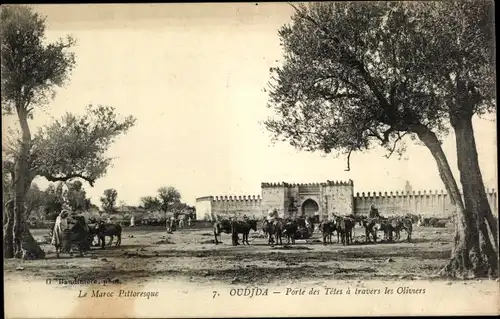 Ak Oudjda Oujda Marokko, Porte des Tetes a travers les Oliviers