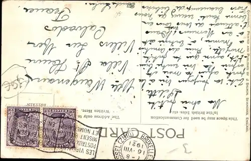 Künstler Ak Langhaarige grau weiße Katze