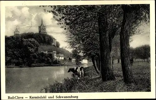 Ak Bad Cleve Kleve am Niederrhein, Kermisdahl und Schwanenburg, Kuh