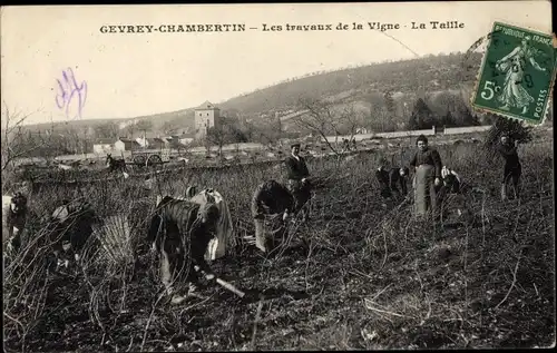 Ak Gevrey Chambertin Côte-d’Or, Les travaux de la Vigne, La Taille