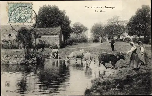 Ak La vie aux champs, la Mare