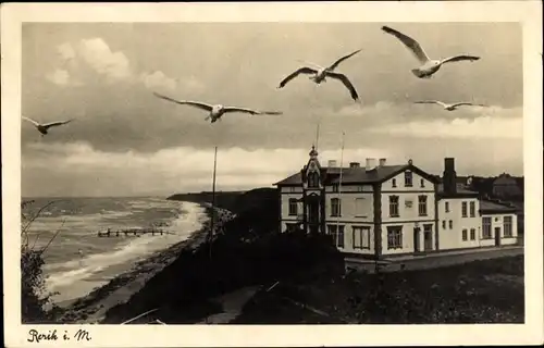 Ak Ostseebad Rerik im Kreis Rostock, Möwen, Strandpartie, Haus