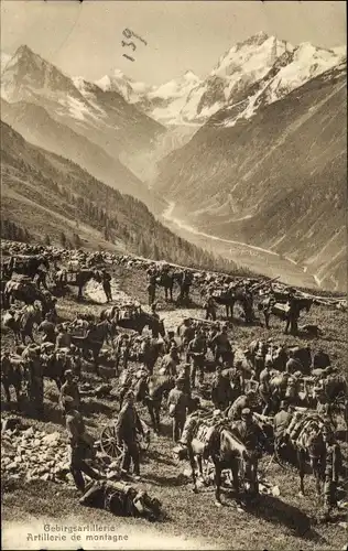 Ak Schweizer Armee, Gebirgsartillerie, Artillerie de montagne, Marschhalt, Grande halte