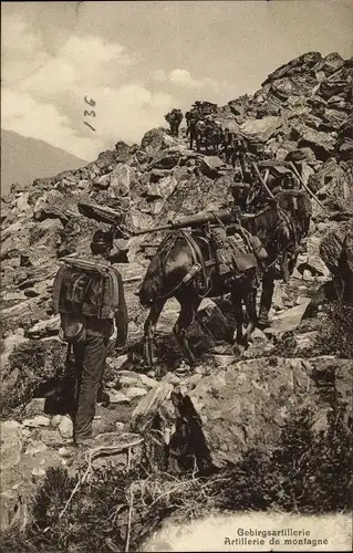 Ak Schweizer Armee, Gebirgsartillerie auf felsigem Pfad, Artillerie de montagne, dans les rochers
