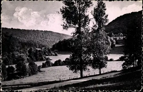 Ak Luxemburg, Petite Suisse Luxembourgeoise, Vallee de l'ernz noire et chateau de Villers