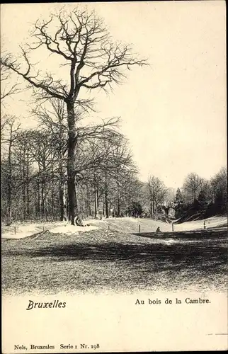 Ak Bruxelles Brüssel, Au bois de la Cambre