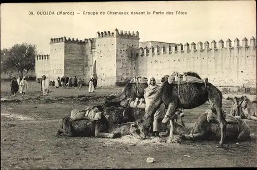 Ak Oudjda Oujda Marokko, Groupe de Chameaux devant la Porte des Tetes, Mann mit Kamelen