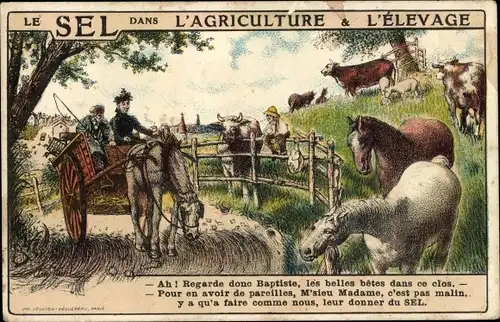 Ak Le Sel dans l'Agriculture & l'Elevage, Erschöpftes Pferd zieht einen Wagen