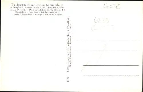 Ak Lorch im Rheingau Hessen, Waldgaststätte Kammerburg im Wispertal