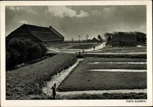 Ak Bensersiel Esens in Ostfriesland, Feld, Haus, Hof