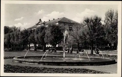 Ak Rostock, Rosengarten mit Oberschule, Springbrunnen