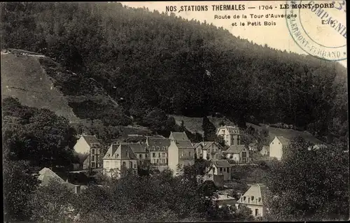 Ak Le Mont Dore Puy de Dôme, Route de la Tour d'Auvergne et le Petit Bois