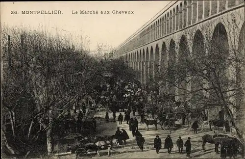 Ak Montpellier Hérault, Le Marché aux Chevaux